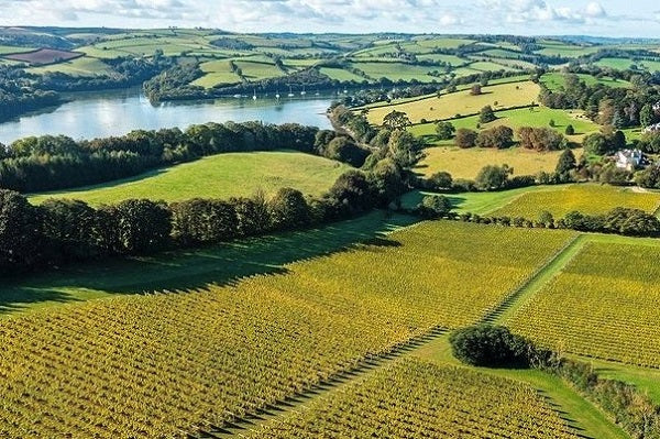 Best English Vineyards to visit this summer