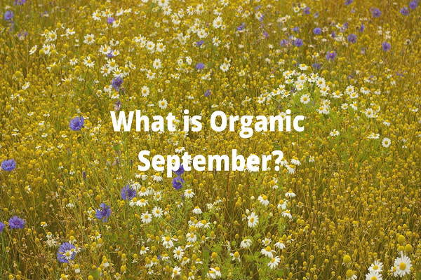 What is Organic September?