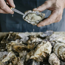 Load image into Gallery viewer, A Dozen Oysters
