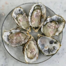 Load image into Gallery viewer, A Dozen Oysters
